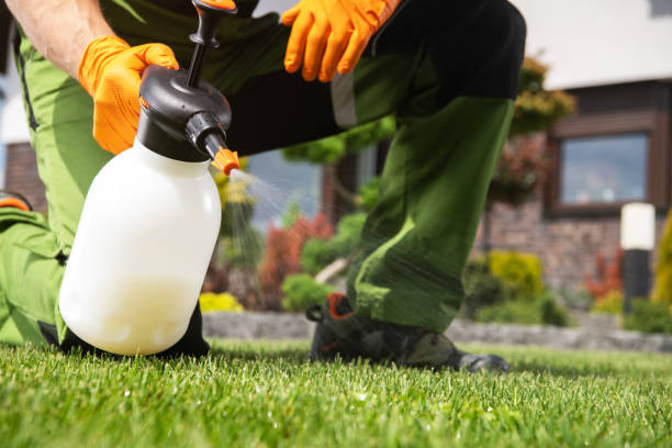 Best Spider Control Near Me  in North Merritt Island, FL