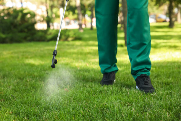 Professional Pest Control in North Merritt Island, FL