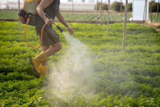 Best Affordable Pest Control Services  in North Merritt Island, FL