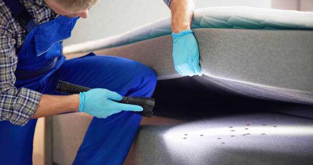 Best Flea Control Services  in North Merritt Island, FL